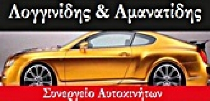 ΣΥΝΕΡΓΕΙΟ ΑΥΤΟΚΙΝΗΤΩΝ ΚΕΝΤΡΟ ΑΥΤΟΚΙΝΗΤΟΥ ΚΑΣΣΑΝΔΡΑΣ ΚΑΣΣΑΝΔΡΑ ΧΑΛΚΙΔΙΚΗ ΛΟΓΓΙΝΙΔΗΣ ΑΜΑΝΑΤΙΔΗΣ