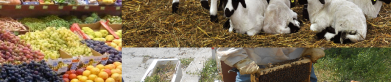 ΑΓΡΟΤΙΚΑ ΚΤΗΝΟΤΡΟΦΙΚΑ ΜΕΛΙΣΣΟΚΟΜΙΚΑ ΕΙΔΗ ΑΓΡΟ.ΚΤΗ.ΜΕΛ. ΣΥΝΕΤΑΙΡ. ΔΗΜΟΣ ΚΥΜΗΣ ΚΟΝΙΣΤΡΕΣ ΕΥΒΟΙΑ