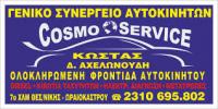 COSMOSERVICE